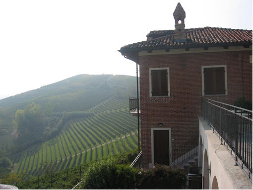 View of the Vineyards of Villa Tiboldi  